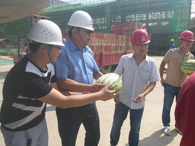 夏日暑正盛 清凉风自扬