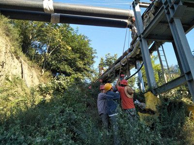 追赶超越,他们用行动争做排头兵