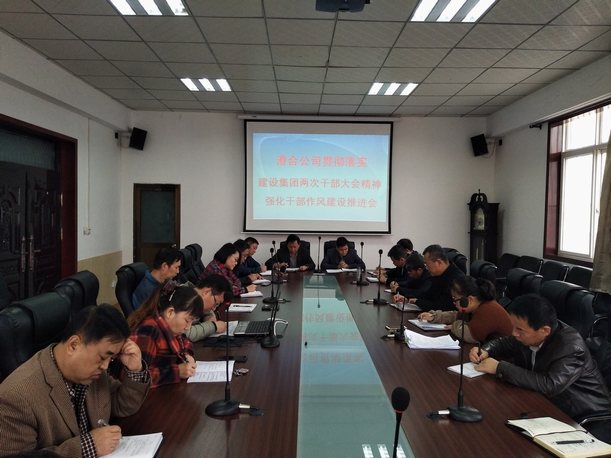 澄合分公司召开贯彻落实两次干部大会精神强化干部作风建设推进会