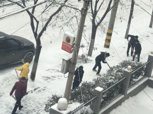 义务扫雪除冰  党员干部在行动