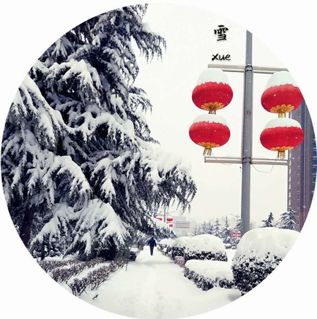 雪，寒冬里的温柔