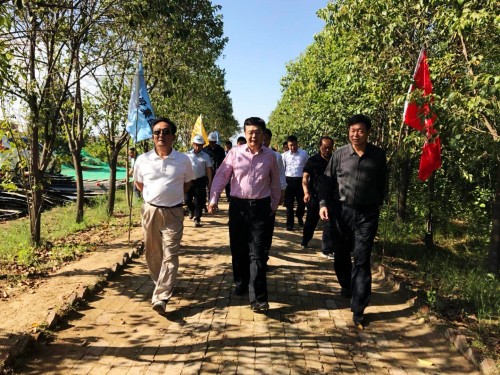 陕西省总工会党组书记、主席白阿莹一行莅临鄠邑区调研考察草堂寺健康养老示范项目