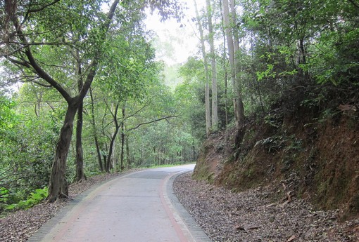 成功之路没有捷径