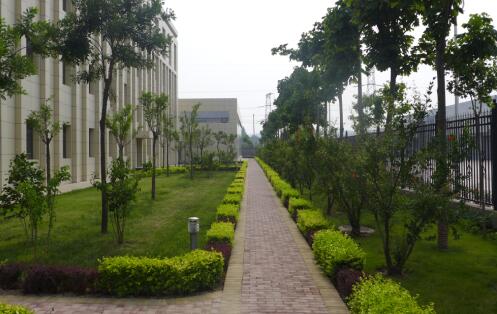 陕西绿宇园林公司:全员齐奏“追赶超越”主旋律