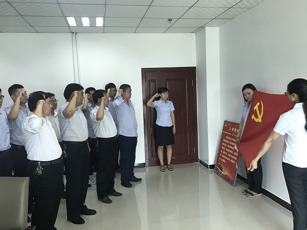 陕煤建设设计研究院:重温入党誓词 追寻红色足迹