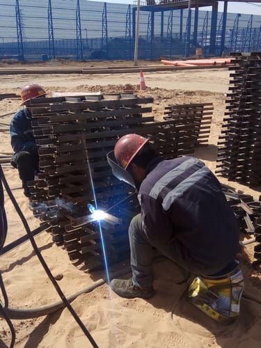 烈日下的“烤”验