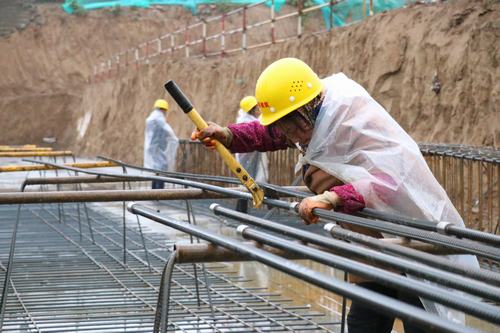 雨天里,“小蜜蜂们”在“筑巢”