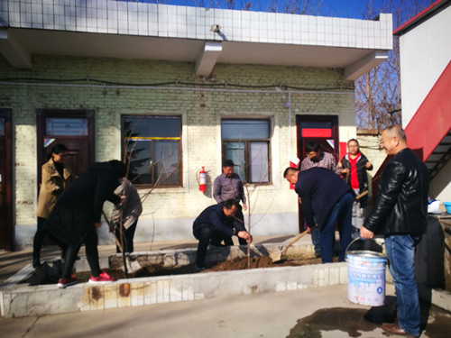 陕煤建设天工公司各项目部积极开展植树活动 绿化施工环境