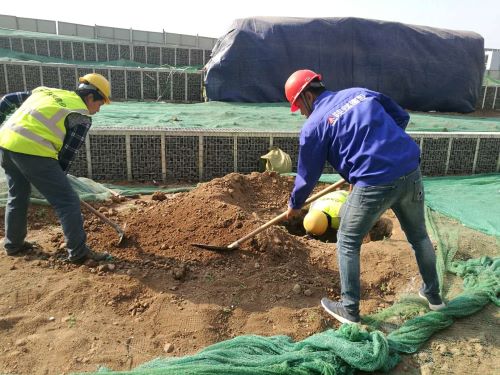 陕煤建设绿宇园林公司:激活“神经末梢” 打响“五小”创新战