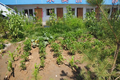 陕煤建设掘进公司:北翼项目部走出一条绿色发展路