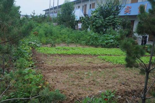 陕煤建设掘进公司:北翼项目部“绿色农场”开张啦