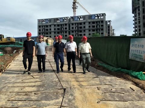 贠公法在航天城蓝山水岸项目调研