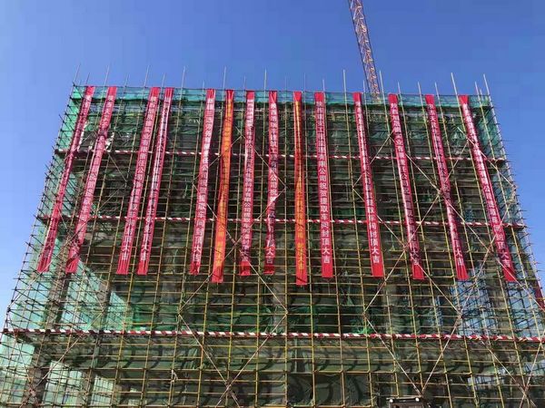 子洲黄芪综合开发中药材提取物生产线项目主体结构全面封顶