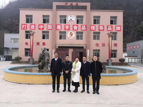 陕煤建设川耀公司赴镇安考察