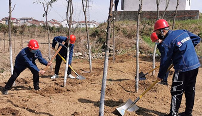 今天你植树了吗?