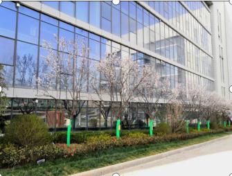 阳春三月,绿宇打造精品工程脚步不停歇