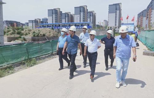 集团领导王宁莅临大秦山水逸境项目检查指导工作