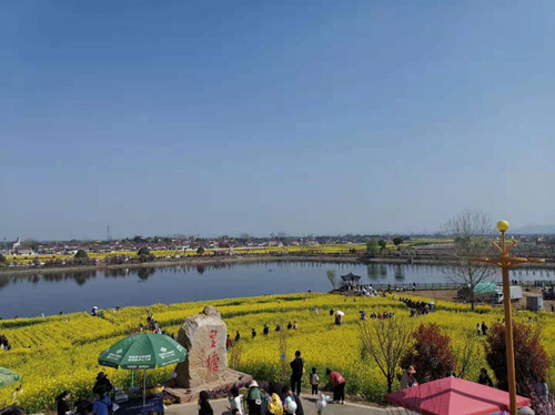 三月皇塘油菜香