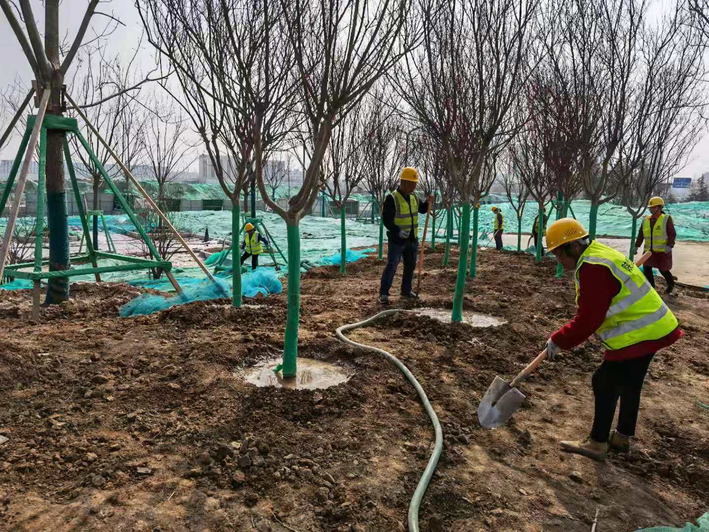 陕煤建设绿宇公司：为大地添绿正当时