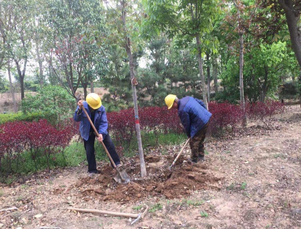 陕煤建设绿宇公司:口碑无止境 用心筑未来