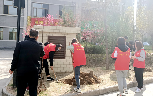 陕煤建设公司：开展绿化补种 打造美好家园