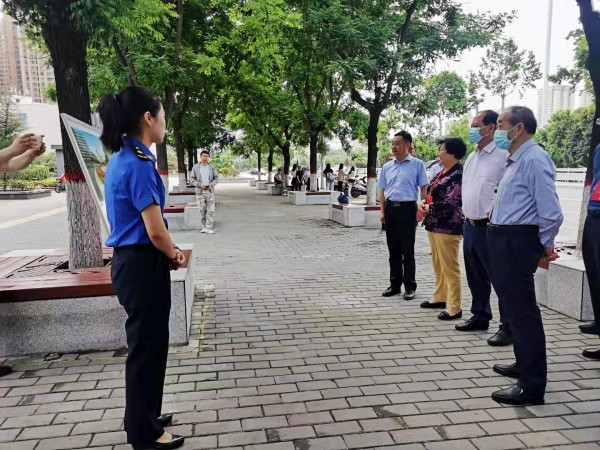 西安市碑林区人大代表深入陕煤建设澄合分公司承建的背街小巷提升改造项目进行考察