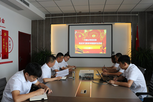 陕煤建设川耀公司召开党史学习教育专题组织生活会