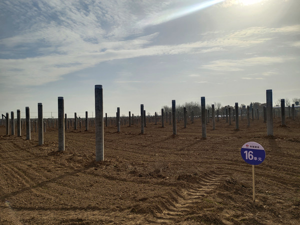 陕煤建设机电安装公司:凝心聚力攻坚光伏项目