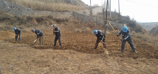 陕煤建设洗选煤运营公司左权洗煤厂项目部：春耕“小菜园”，播种幸福感