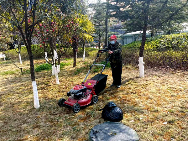 建设集团大秦置业公司：修剪养护植被为小区添“新装”