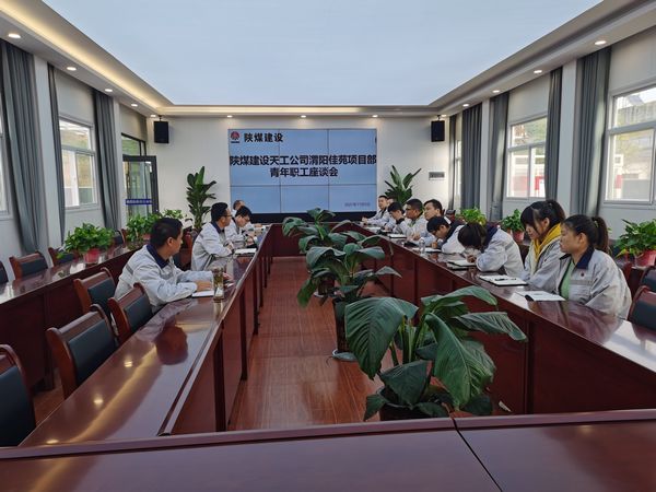 陕煤建设天工公司渭阳佳苑项目“复工复产+青年员工座谈”显芳华