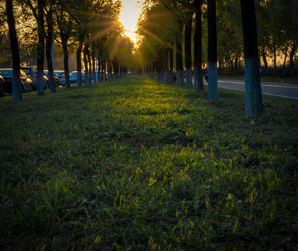 行走在双城之间