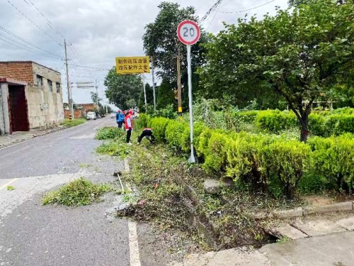 “澄合红”点亮“志愿灯”