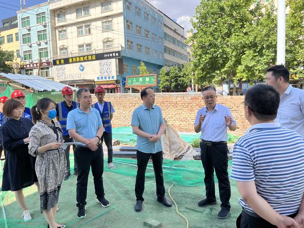 蒲城县人大常委会副主任一行深入蒲城县槐院里历史文化街区项目进行视察