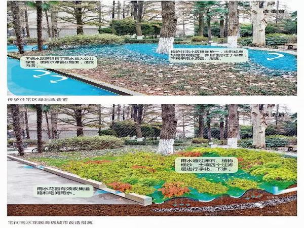 陕煤建设设计研究院：铜川市王益区虎头小区老旧小区改造海绵城市建设设计圆满完成