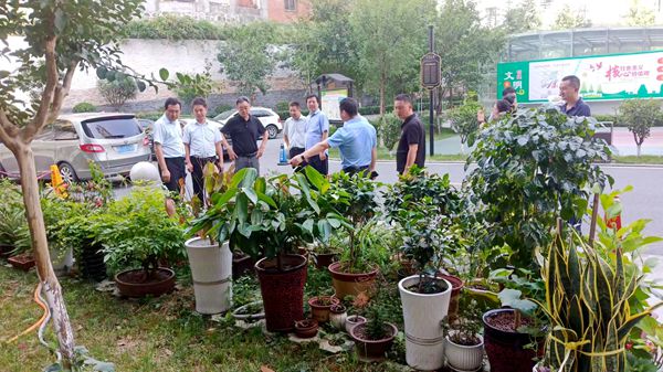 陕煤建设大秦置业公司：龙湾水境创文工作迎“大考”