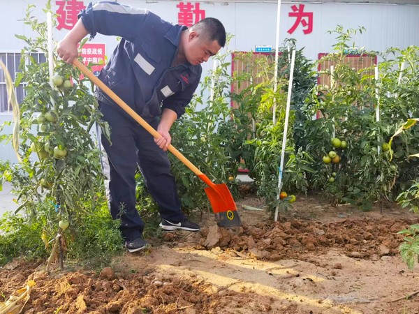 陕煤建设洗选煤运营公司第七项目部：开垦“试验田” 扎根大荒漠