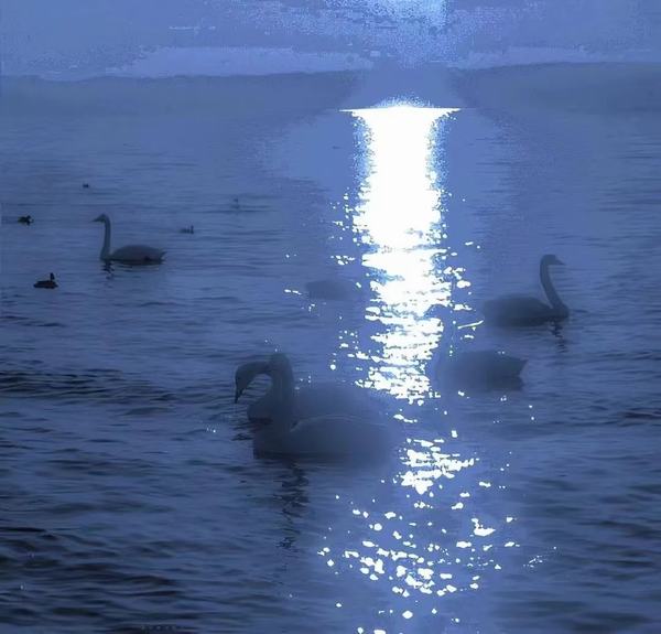 岁月明镜照亮生命之河