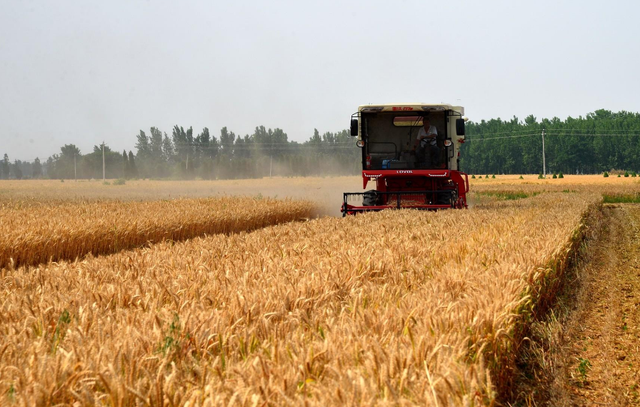 那条路  那片地