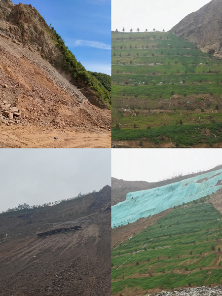 渣山变绿林，碎石堆场批“绿装”