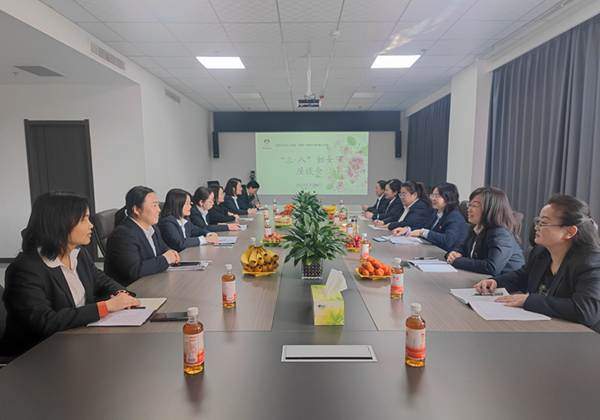 巾帼绽芳华 聚力绘新篇