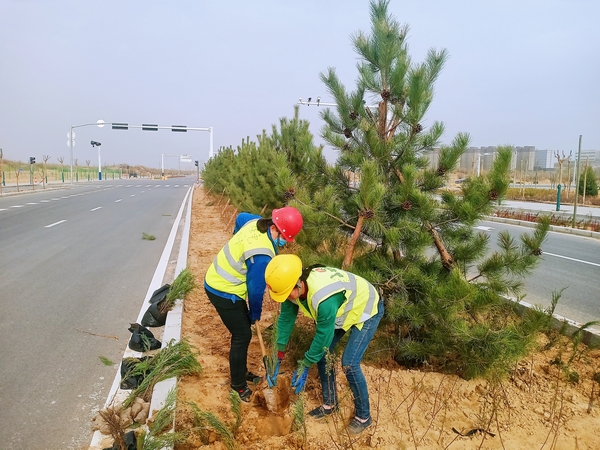 陕煤建设承建的科创新城市政一期工程N1项目经理部全面启动绿化作业