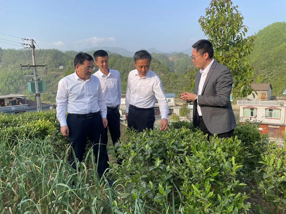 王明智深入陕煤建设定点帮扶村调研扶贫工作