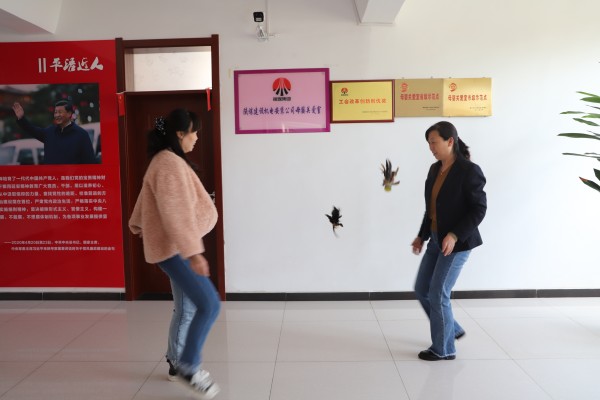 陕煤建设机电安装公司开展“迎五一 庆五四”趣味文体活动