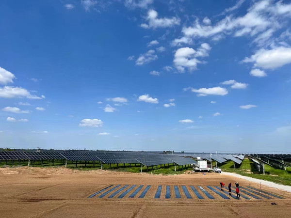 陕煤建设机电安装公司蒲白光伏发电项目顺利通过商业运营前监督检查