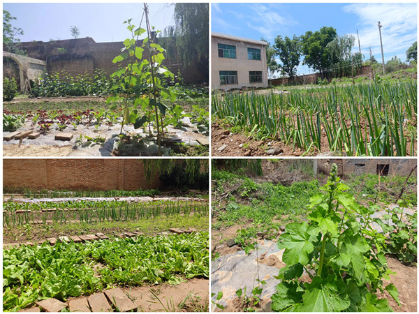 陕煤建设矿建三公司：项目部里的“开心农场”