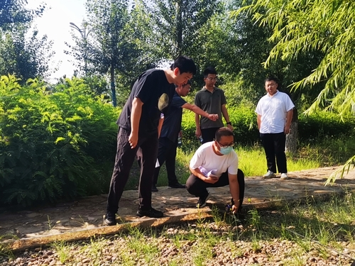 陕煤建设榆林公司承建的科创新城同慧运动公园项目绿化工程通过年度验收