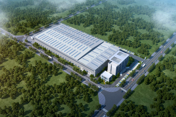 守望初心勇担当 笃定前行绽芳华