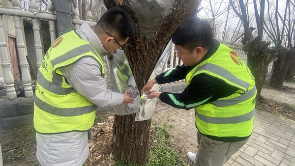 陕煤建设路桥分公司渭南项目部开展“绿色修复，生态共赢”别样植树节活动