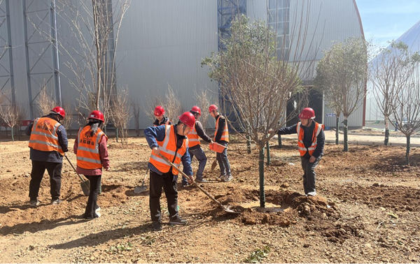 与春天相约,共建绿色家园
